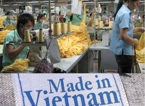 緊急提醒 越南出臺原產地管理新政